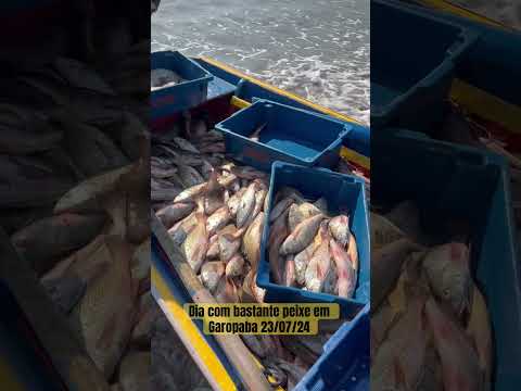 Dia com bastante peixe em Garopaba 23/07/24