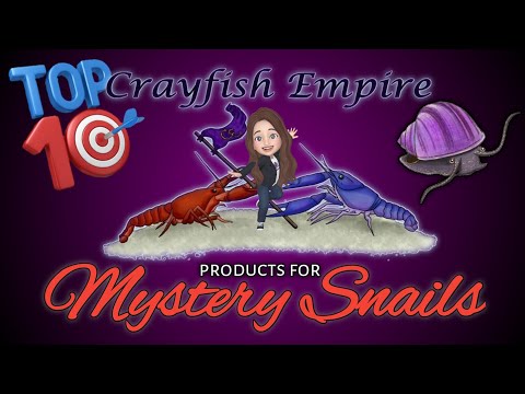 Top 10 Crayfish Empire Products for Mystery Snails Welcome back my Snaily Friends! 🐌💜
In this video we chat about my all time favorite products f