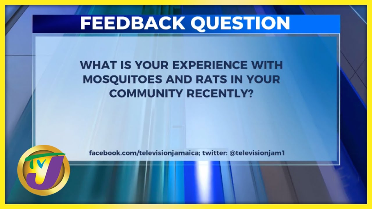 Feedback Question Oct 20 2022 Television Jamaica TVJ 