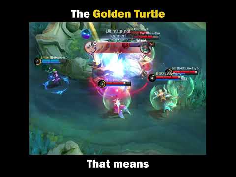 New Golden Turtle Update: How to Get Rich Fast