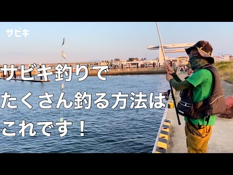 たくさん釣れます！サビキ
