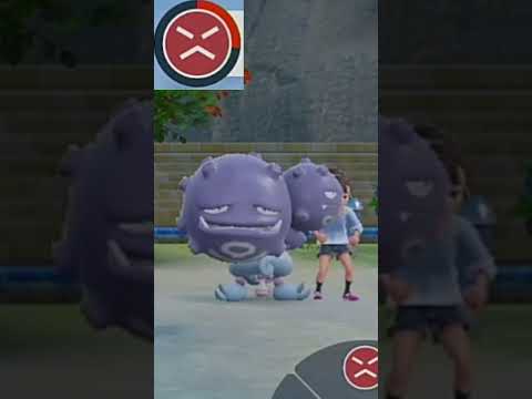 thumbnail_xEcpPG6MObw