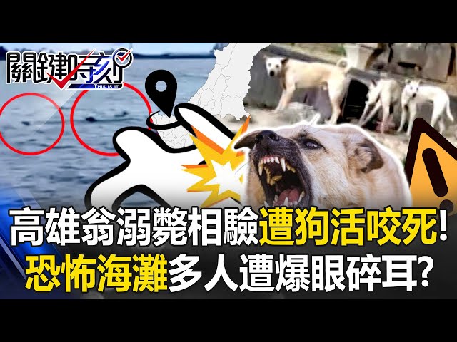 高雄翁溺斃相驗…竟是遭狗活活咬死！ 恐怖海灘游泳多人遭「爆眼、碎耳」！？【關鍵時刻】20250704-5 張炤和 林裕豐 張禹宣