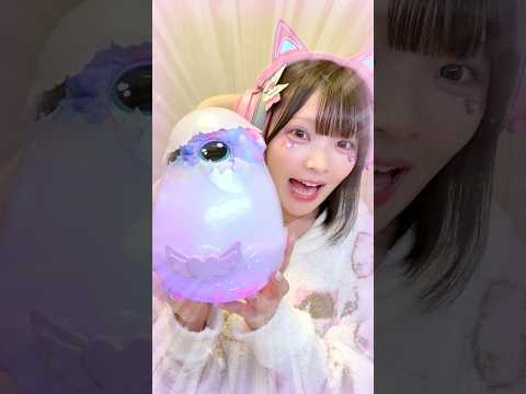 たまごをお世話したら『魔法のペット』が生まれてきたんだけど!?🐣🌈【たまちゃん】