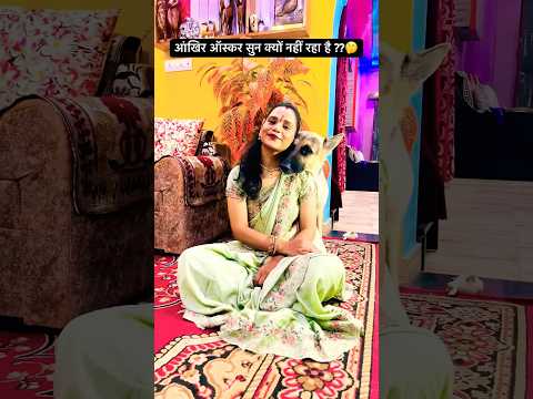 आँखिर ऑस्कर सुन क्यों नहीं रहा??🤔 #shorts #ytshorts #animallovers #petlover #voiceforvoiceless