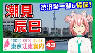【どんな街？】東京江東案内 第43回 潮見・辰巳編【東京城東エリア紹介】