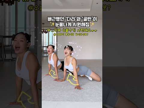 골반 스트레칭 정말 너무 시원해요 #스트레칭 #흥둥이홈트
