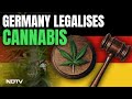 Germany Legalises Cannabis | Germany Will Now Allow Adults To Carry Upto 25 g Cannabis