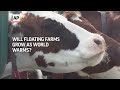 Will floating farms grow as world warms?  - 01:20 min - News - Video