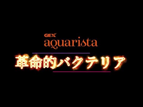 【バチルス菌配合コンディショナー】GEX aquarista バチルスプラス