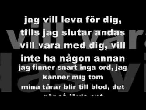 AMC - Jag kan inte ljuga för dig lyrics - YouTube