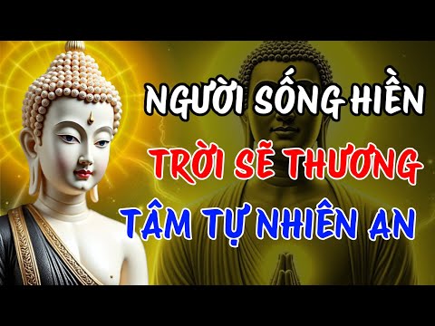 Phật Dạy: Gieo Nhân An Lành – Gặt Quả Bình Yên | Hành Trình Tỉnh Thức