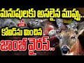 Live : బి అలెర్ట్..ప్రపంచానికి జాంబీ వైరస్ ముప్పు | 48,500-Year-Old Deer Zombie Virus | hmtv