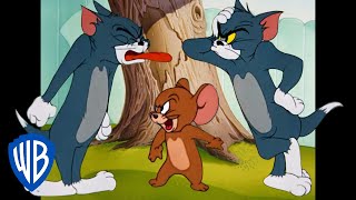 Tom a Jerry - jak sourozenci