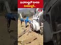 మ‌హారాష్ట్ర‌లో కూలిన హెలికాప్ట‌ర్‌.. | #helicopter #hmtv  - 00:56 min - News - Video