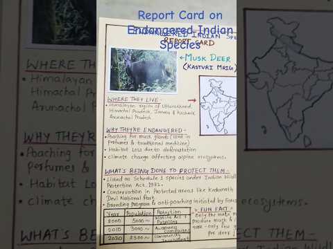 Endangered Indian Species - Report Card