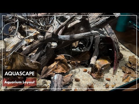 マジックリーフ・どんぐり・木々。何ができるかな? /aquascape/aquarium/60cm tank/vlog/