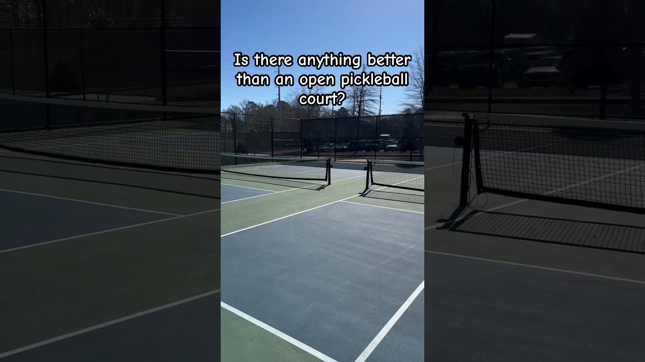 Is There Anything Better Than This In Pickleball?