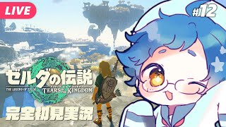 【🔵#ゼルダの伝説 ティアーズ オブ ザ キングダム #12】ゼルダといえば水の神殿だ！Switch 2 Editionです【夜更坂しん/V