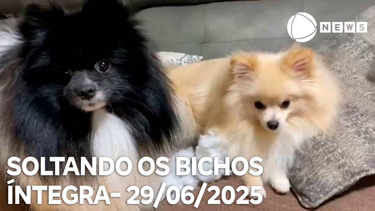 Soltando os Bichos – 29/06/2025