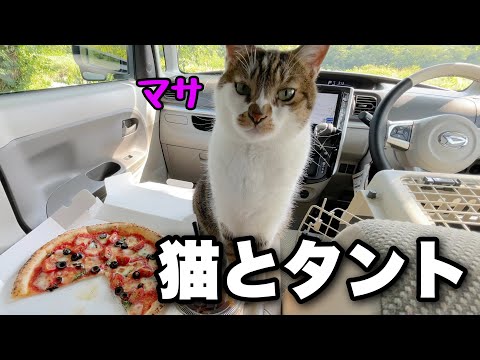猫とドライブして川沿いでランチ！白馬の穴場スポット