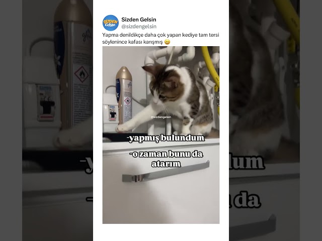 En sonda yapacak bir şey kalmayınca gitmesi 😄