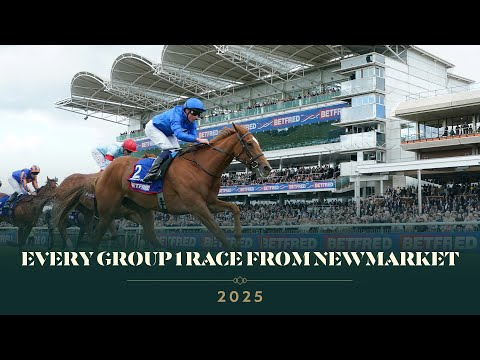 Relive Every Group 1 Race from Newmarket’s 2025 Season