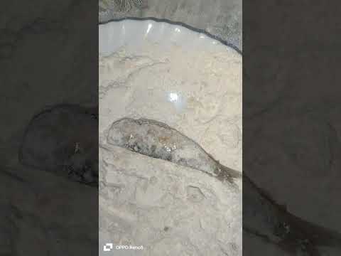 Poisson sardine véritable frie