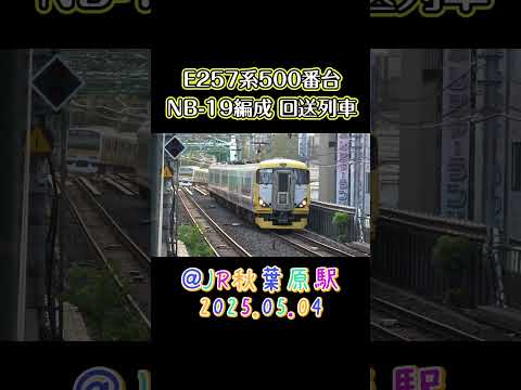 JR東日本E257系500番台 NB-19編成 回送列車返却回送 ＠JR秋葉原駅 2025.05.04 #shorts