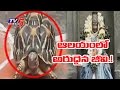 Rare Star Tortoise Found in Vijayawada Kanaka Durga Temple