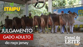 Itaipu Rural Show 2024 - Julgamento do Gado Adulto da Raça Jersey