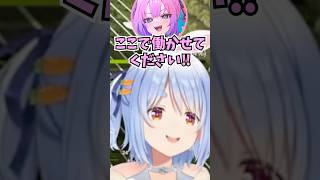 千の声に似ていることに気付いた結果フブ婆に名前を取られてヴィになるヴィヴィに爆笑するぺこーら#shorts  #ホロライブ #切り抜き #v