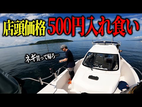 【コスパ最強】安いアレで高級魚が入れ食いするという噂は本当か?検証してきた。