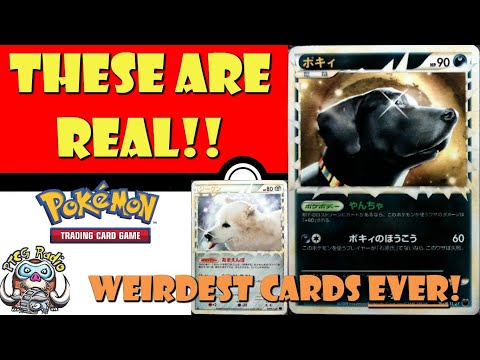 Pokemon TCG News