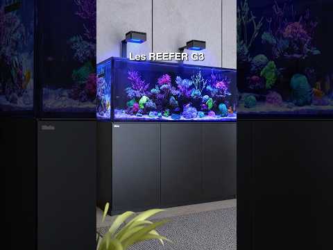 REEFER G3 Series - Jusqu'à 50% de ciculation d'eau en plus
