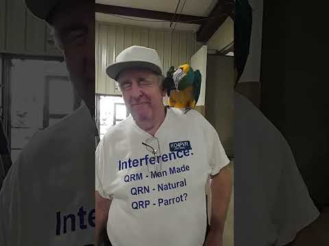 Peanut the QRP Parrot #hamcation 2024