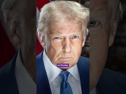 Trump inaugeration portrait echoes mugshot