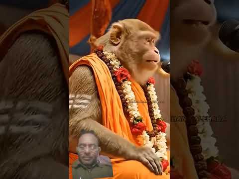 बिल्कुलसही बात