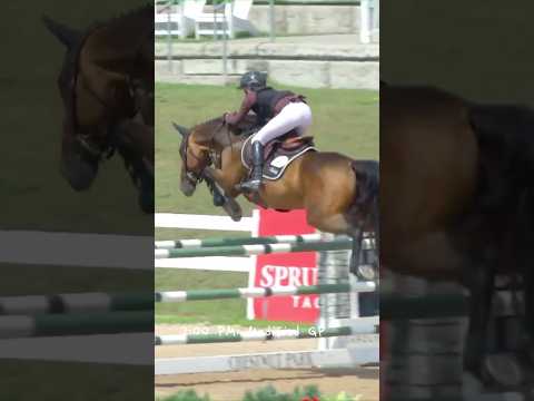 All the horses were superstars ❤️⭐️💫 #equestrianjourney #horse #showjumping #diml #equestrian