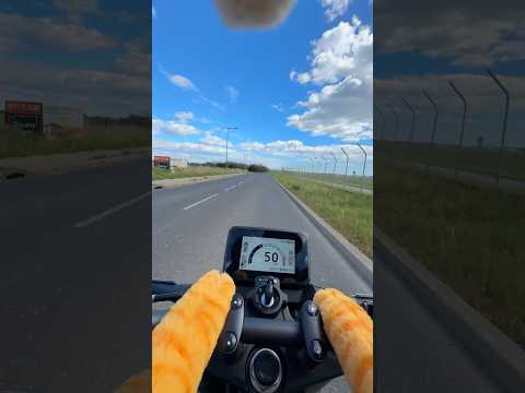 Thanks ​⁠​⁠@Honda for letting bro cat ride for his date 🐱😂 #hornet750 #hondamotocycles #funny