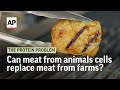 Can lab-grown meat from animal cells replace meat from farms? | The Protein Problem