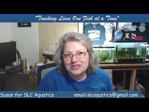 Tuesday PM with Susan #fishfam Mom So what are you all going to talk about tonight? Lets encourage one another to do what makes you hap