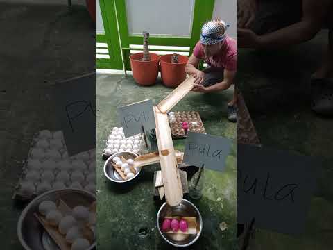 Ang galing ng mga itlog alam nila kong saan mga kasama nila #video #trending #funny #fyp #viral