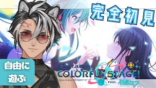 【#プロセカ / 完全初見 】プロセカ復帰勢です。色々教えてください【 MV視聴 】