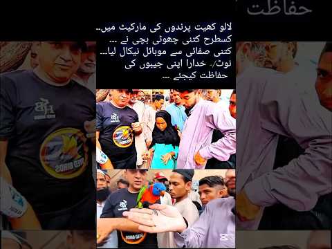 | Karachi Birds Market Me Chhoti Bachi Ka Shocking Scene 😱 | #karachi #birds #shorts