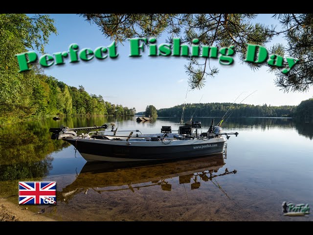 The last warm week of September - my wife and I out on the boat, searching for some active fish.Surrounded by the beautiful Swedish nature, we enjoyed coffee with homemade blueberry cake and a lakeside barbecue – everything that soothes the soul after a busy and stressful life. More info on my fishing guiding services:www.pexfish.com🔗My other social platforms:https://www.facebook.com/Pexfish/https://www.instagram.com/pexfish/Thanks for watching!