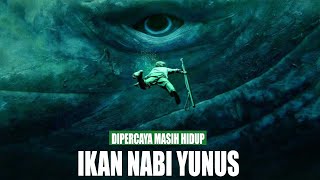 Gambar Ikan Yang Menelan Nabi Yunus Kumpulan Gambar Oke