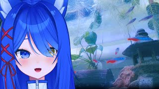 【fishcam】 what did shion bring home this time?