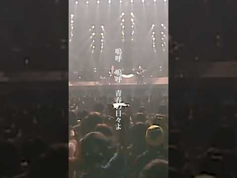 ゆず - 嗚呼、青春の日々 from Live Films TOBIRA TOUR 2000～2001 #shorts
