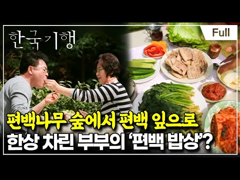 [Full] 한국기행 - 나의 정원으로 오라 제4부 편백나무 숲길 따라